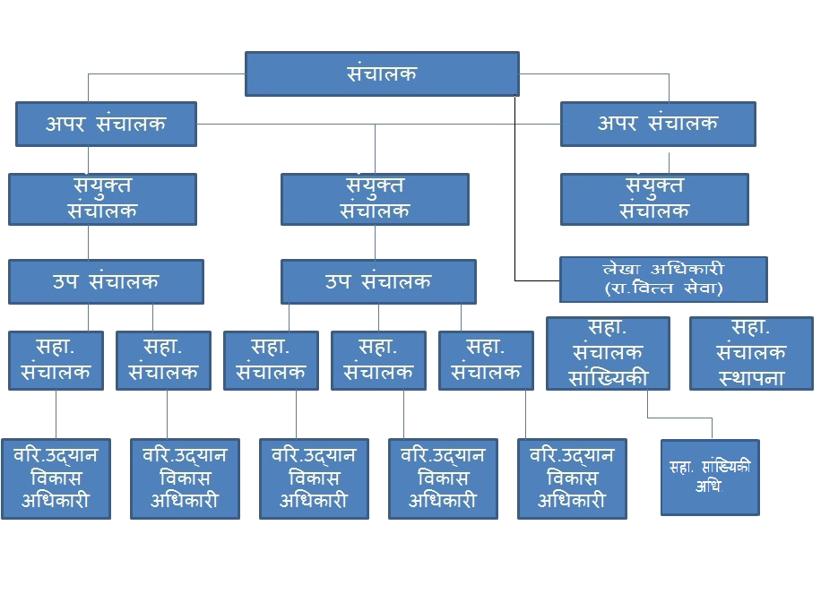 Directorate Level Structure