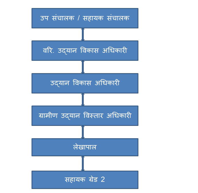 जिला स्तरीय संरचना 