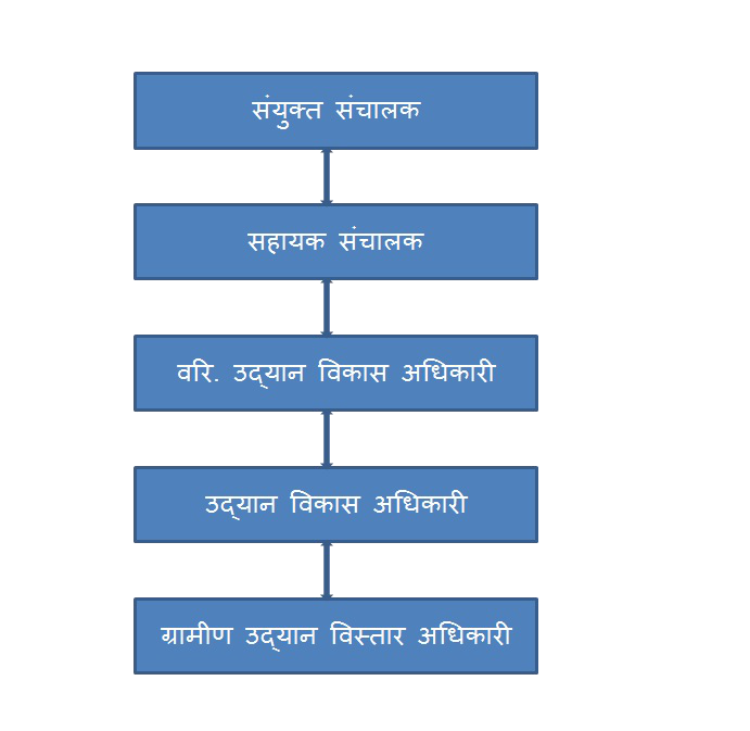 संभाग स्तर संरचना 