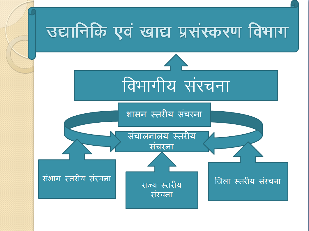 विभागीय संरचना 